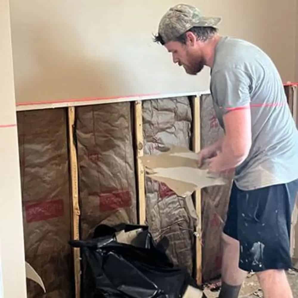 Mold Remediation Services image