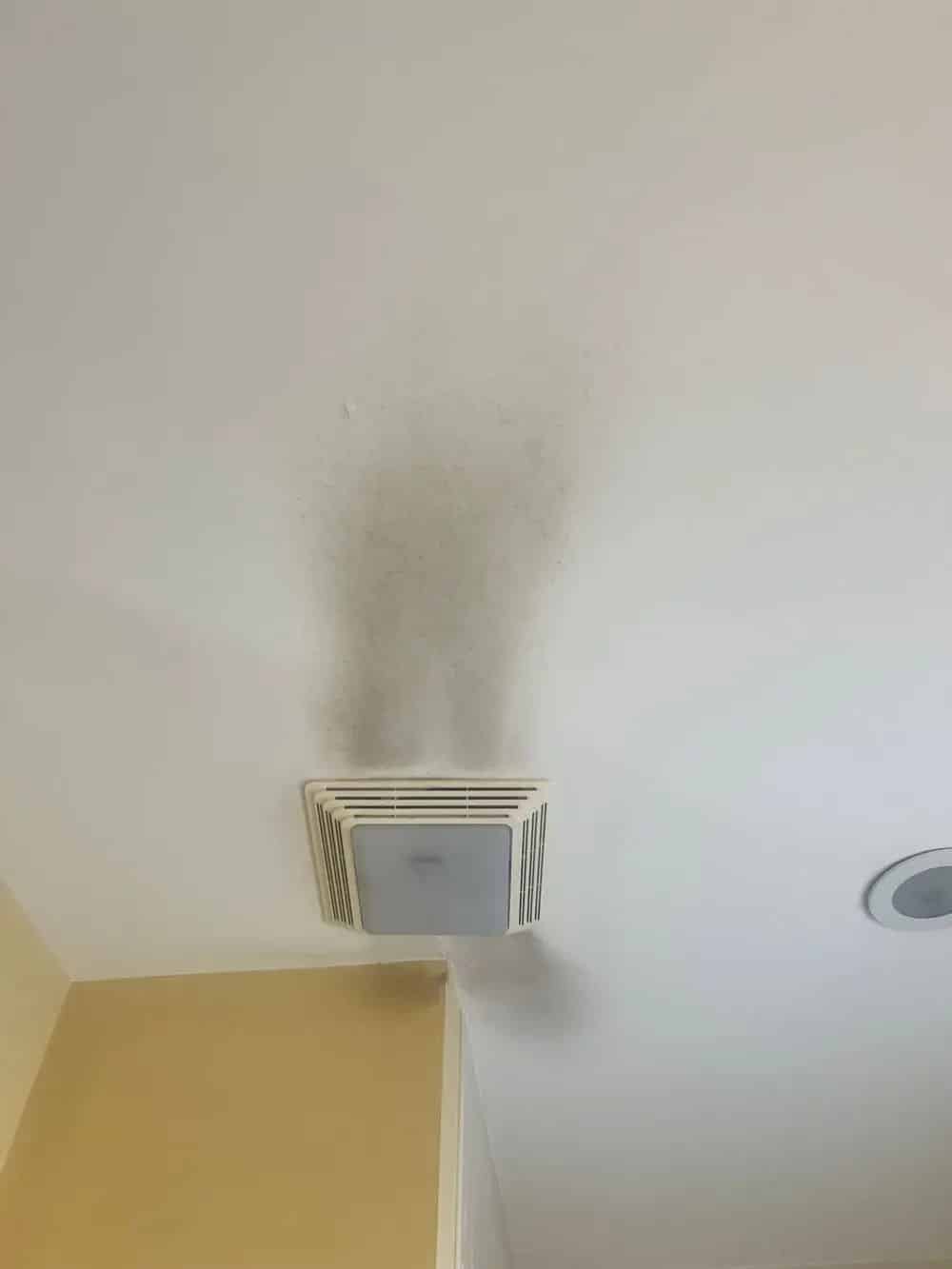 Vent and Duct Cleaning image