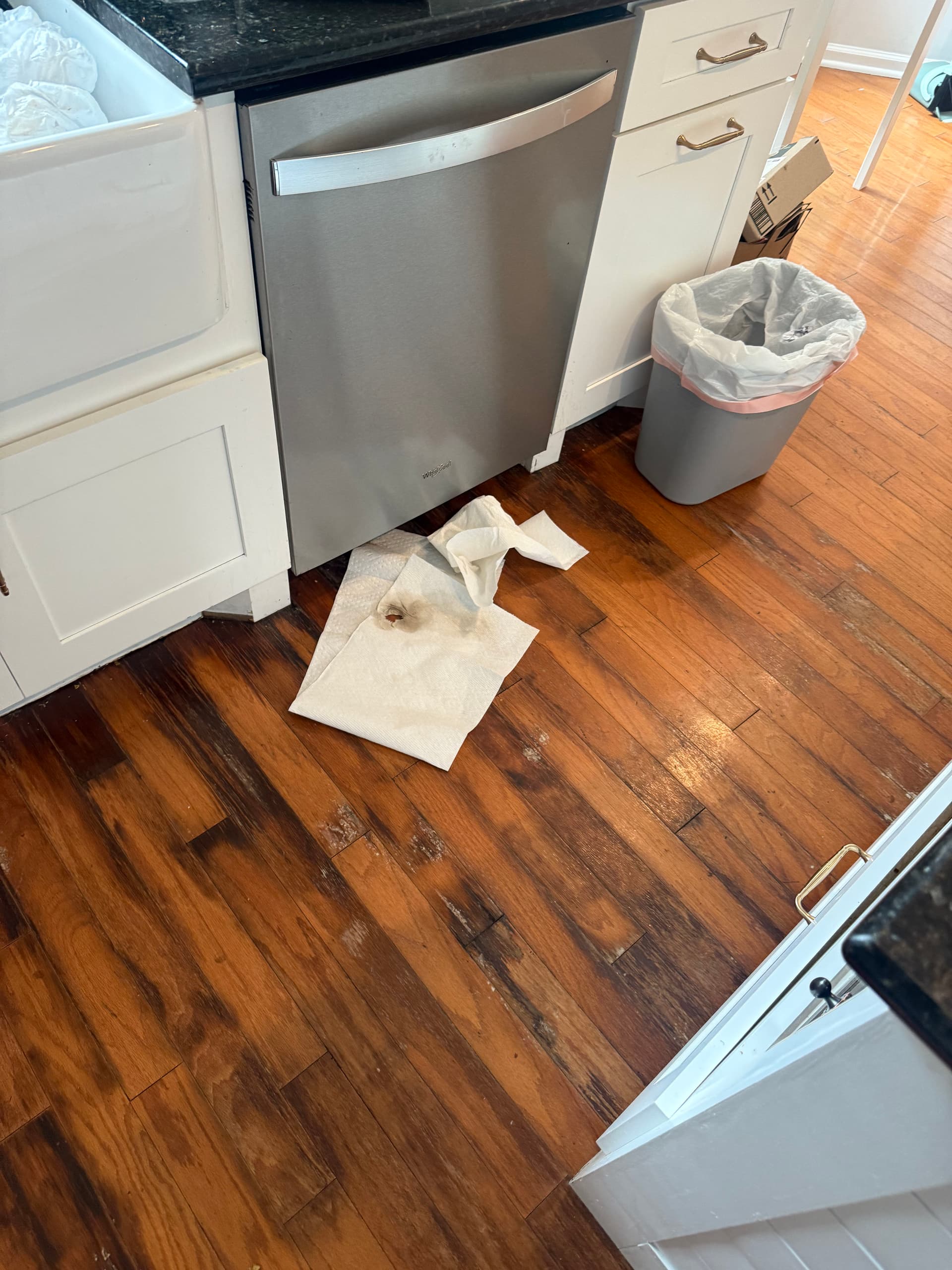 Gallery photos for Dishwasher Leak Water Damage Response in Mount Pleasant: Image #1