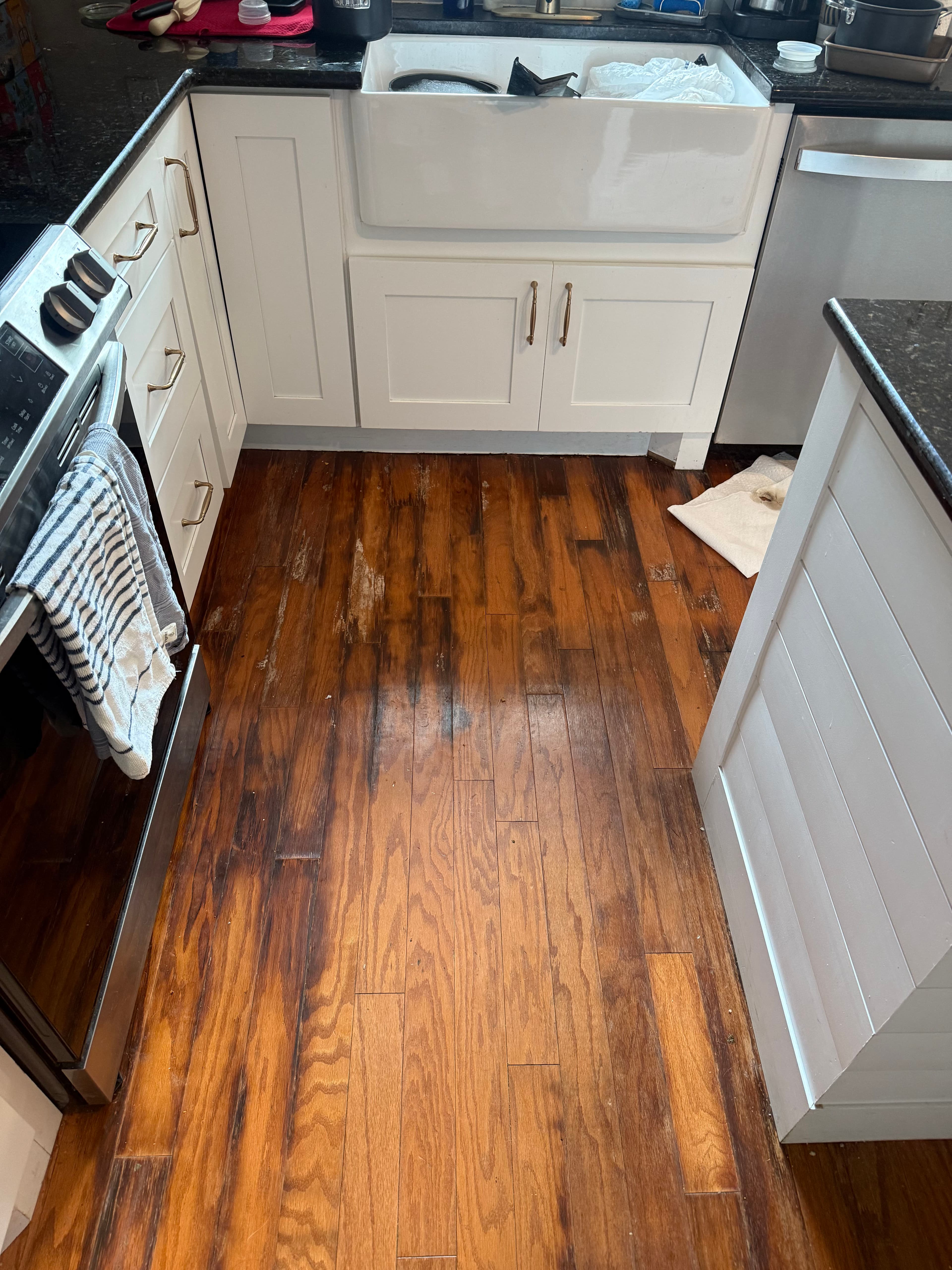 Project Dishwasher Leak Water Damage Response in Mount Pleasant image