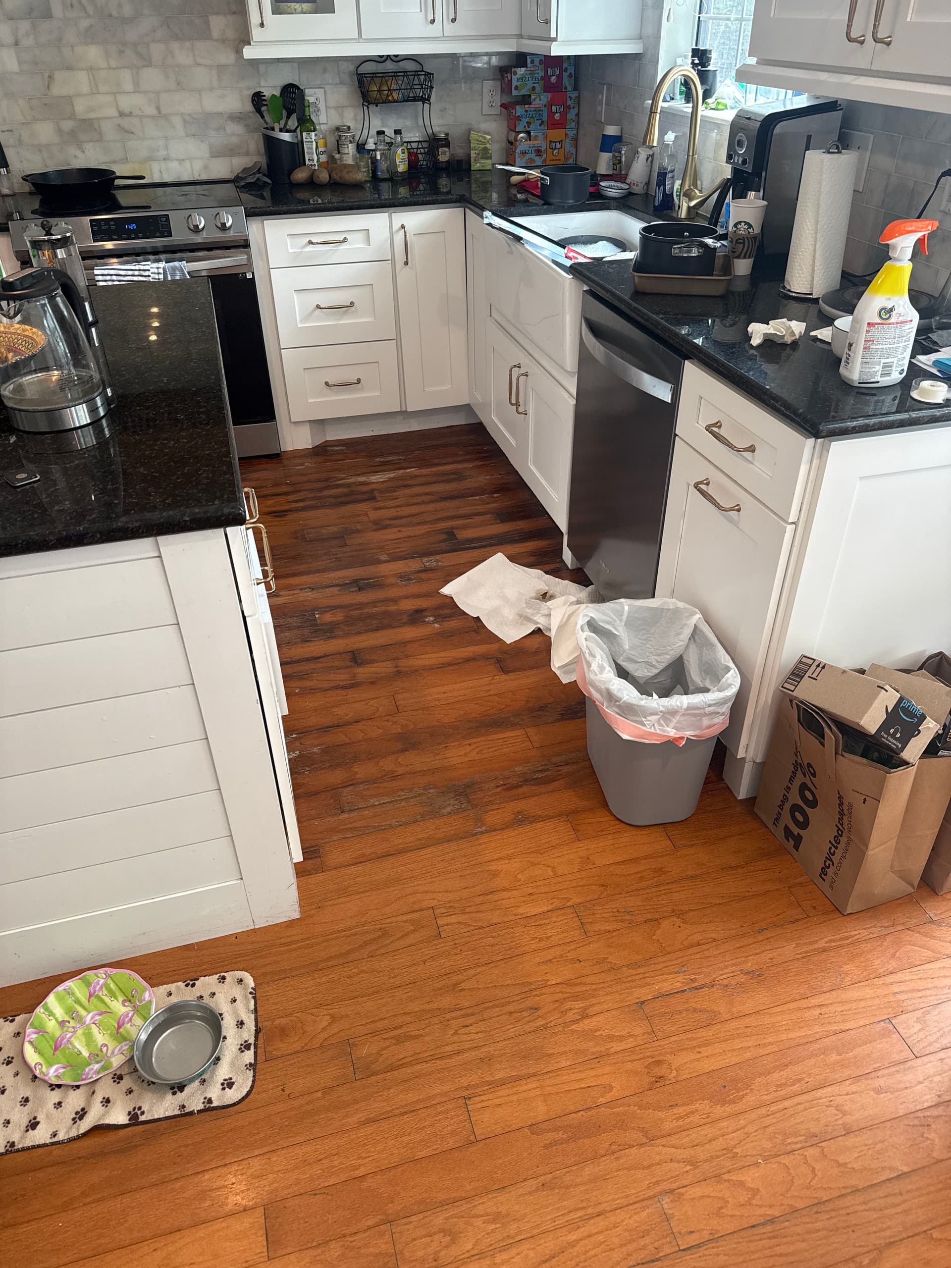Gallery photos for Dishwasher Leak Water Damage Response in Mount Pleasant: Image #2